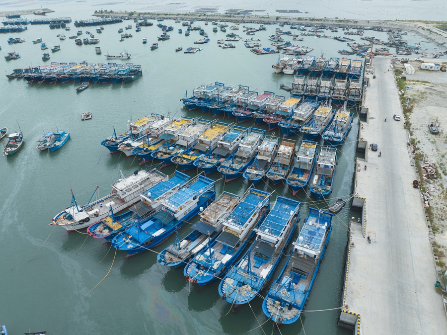 7月26日，在漳州市漳浦县六鳌镇虎头山一级渔港，所有渔船进港避风。漳浦县融媒体中心供图