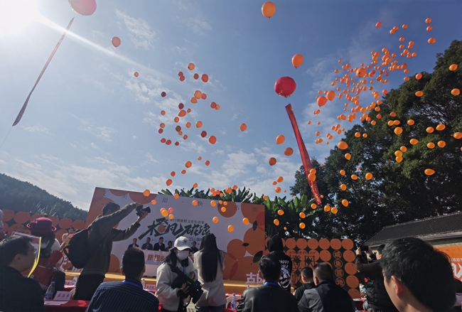 漫天飛舞的橙色氣球，寓意著囦關臍橙將飛出古田，飛向更廣闊的市場。吳友亮攝